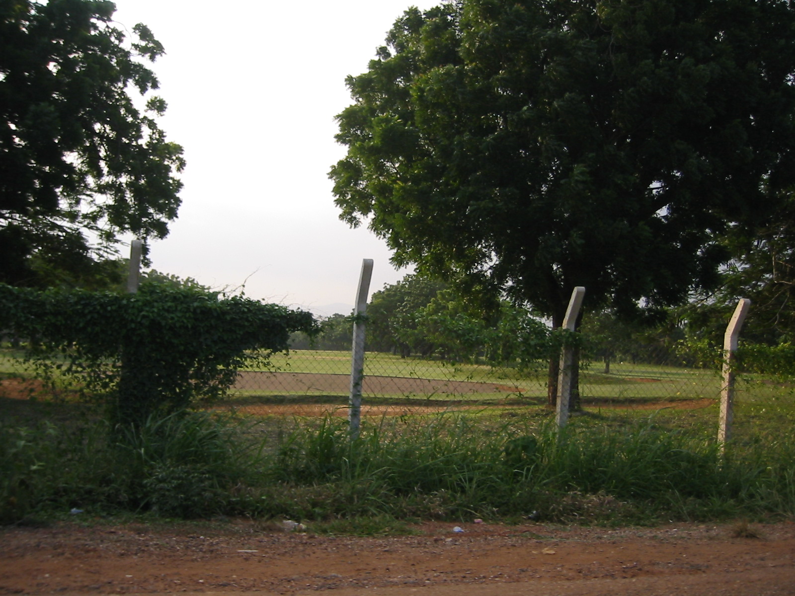 Uploaded Image