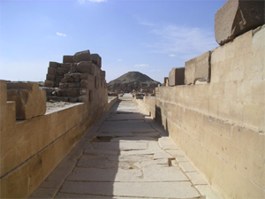Uploaded Image
