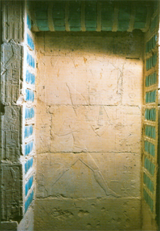 Uploaded Image