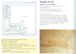 Uploaded Image
