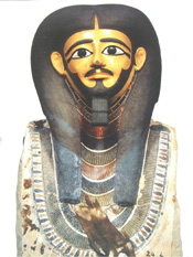 Uploaded Image