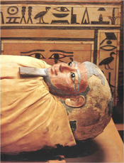 Uploaded Image