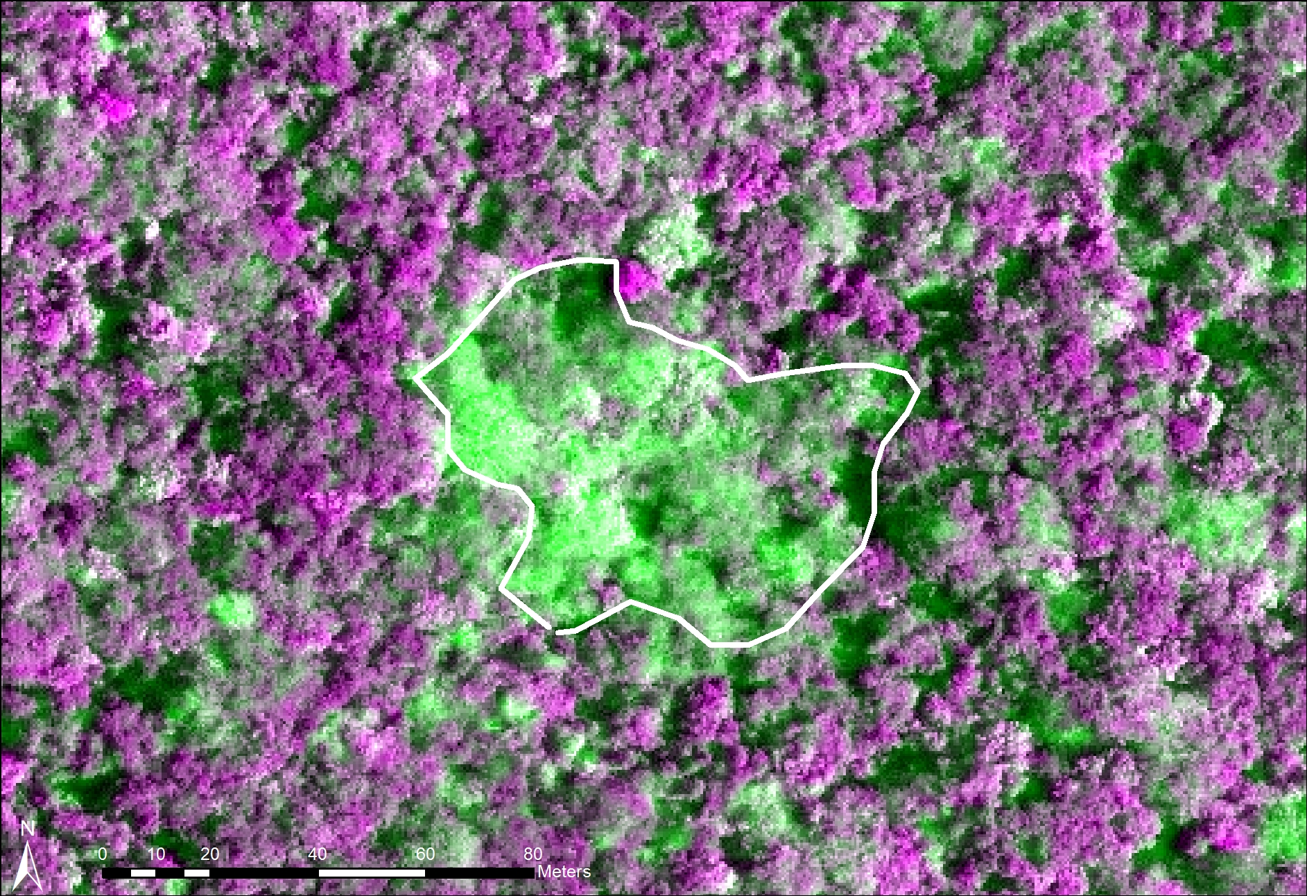 Uploaded Image