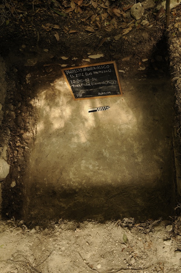 Uploaded Image