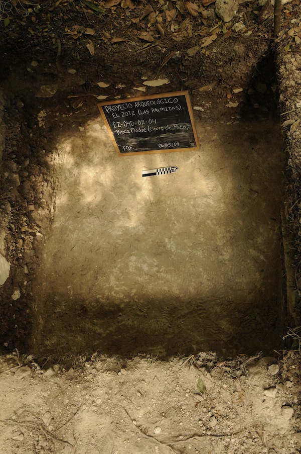 Uploaded Image