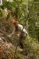 Uploaded Image