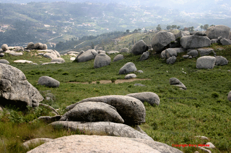 Uploaded Image