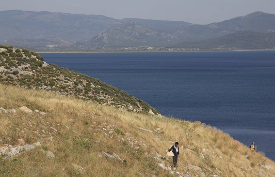 Archaeology | Brown University | Notion (Turkey)