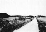 Rekow1