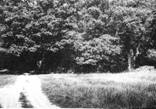 Rekow2