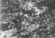 Rekow9