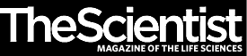 The Scientist