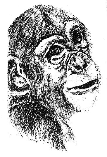 Laboratory Primate Newsletter, Volume 40, Number 2