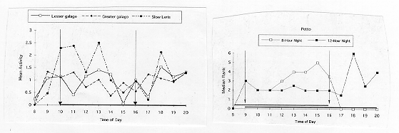 Two line graphs