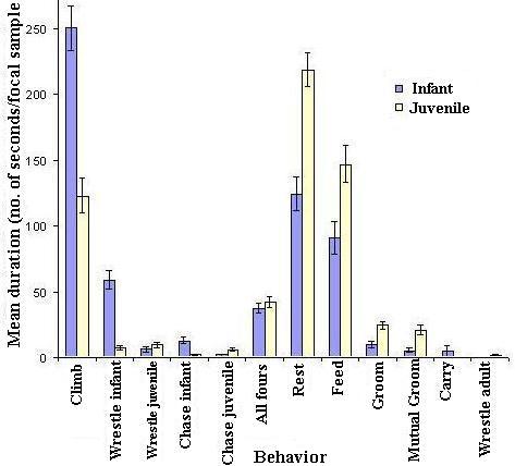 Durations of Behaviors