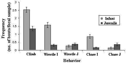 Frequencies of Behaviors