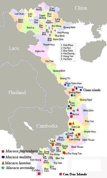 Vietnam map