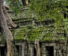 Building covered in overgrowth, Angkor
