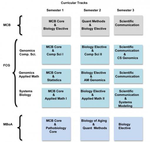 Curricular Tracks