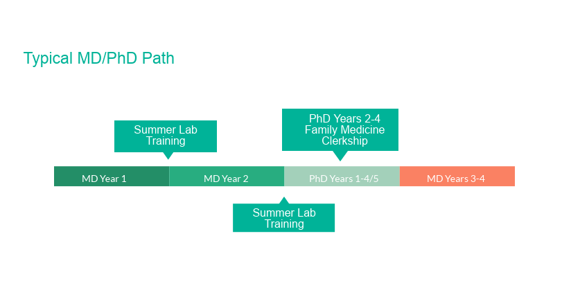 Typical MD PhD Path.png