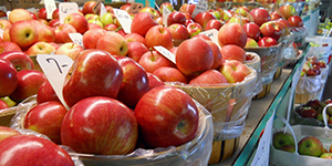 Close up image of a baskets of red apples at a Farmer's Market in Providence