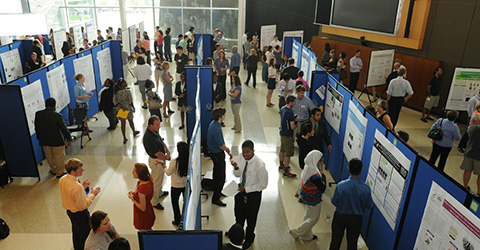 NIH trainees presenting their research at a poster fair.