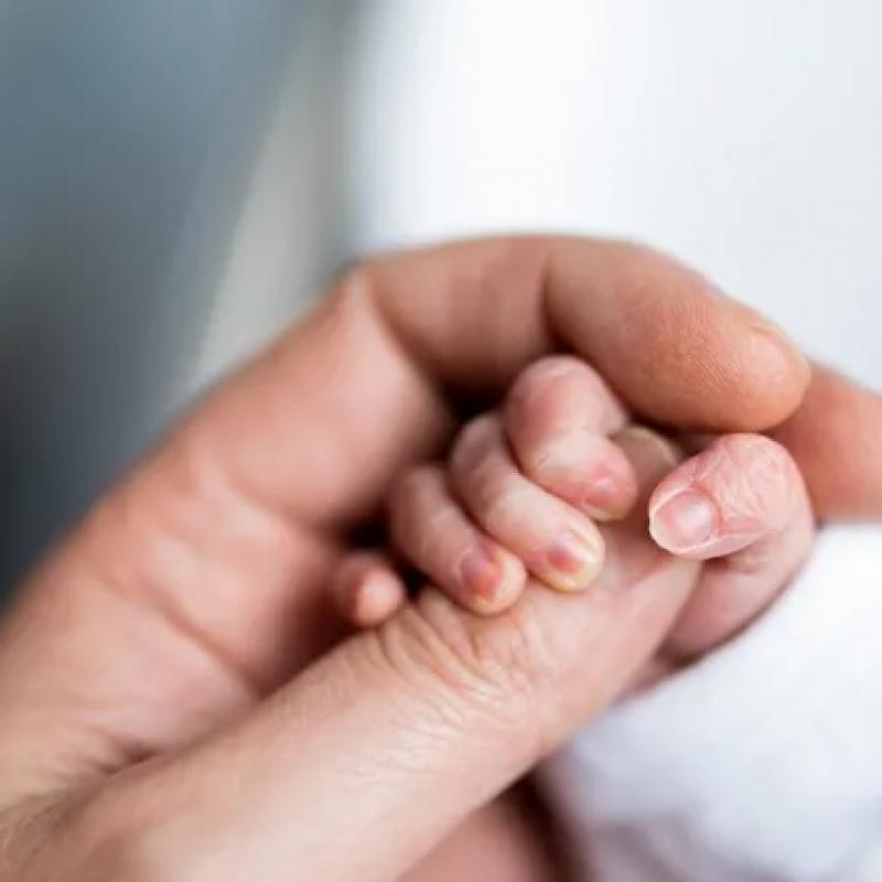 Adult hand holding an infant's hand