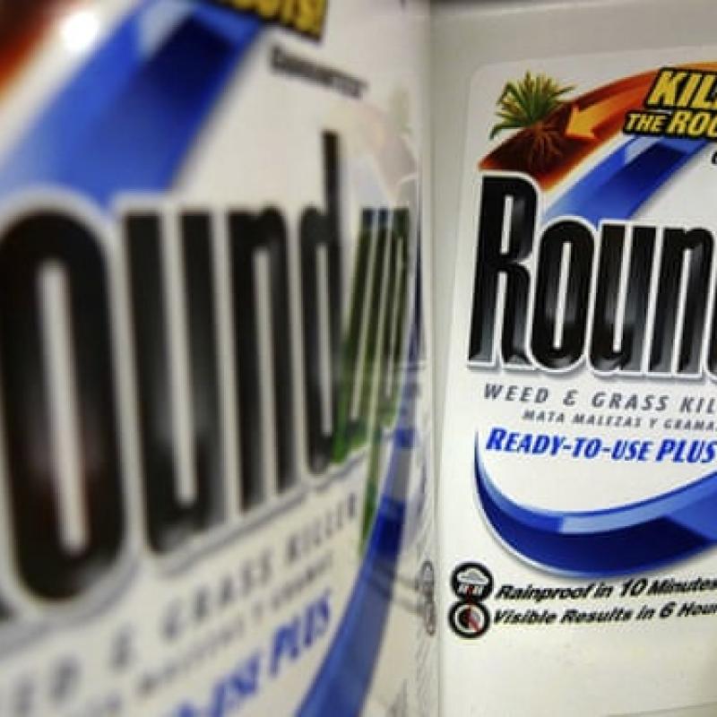 photo of two containers of Roundup