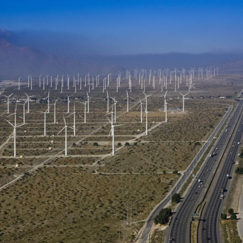 Photo of large windfarm next to a highway