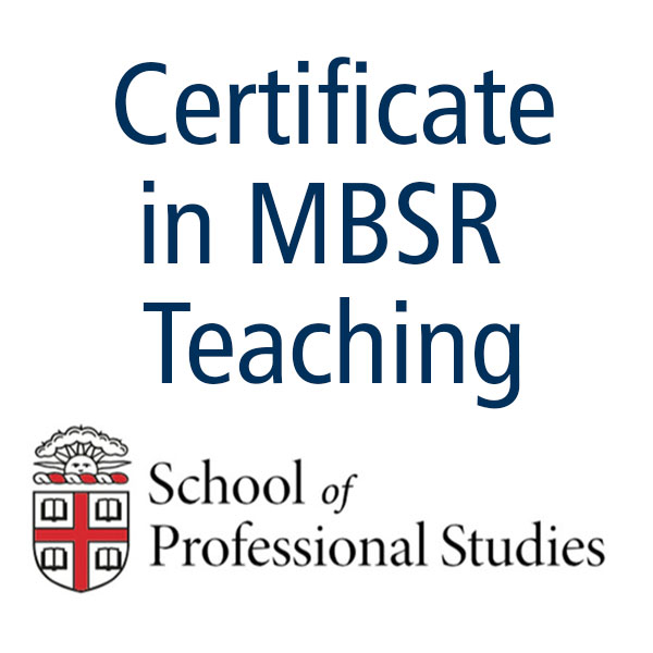 Teacher Training: Certificate in MBSR Teaching