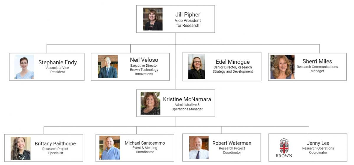 Org Chart of the Directors and operations of OVPR that report to Jill Pipher