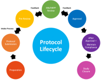 Protocol Lifecycle