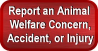 Click Here to Learn About Reporting an Animal Welfare Concern, Accident, or Injury