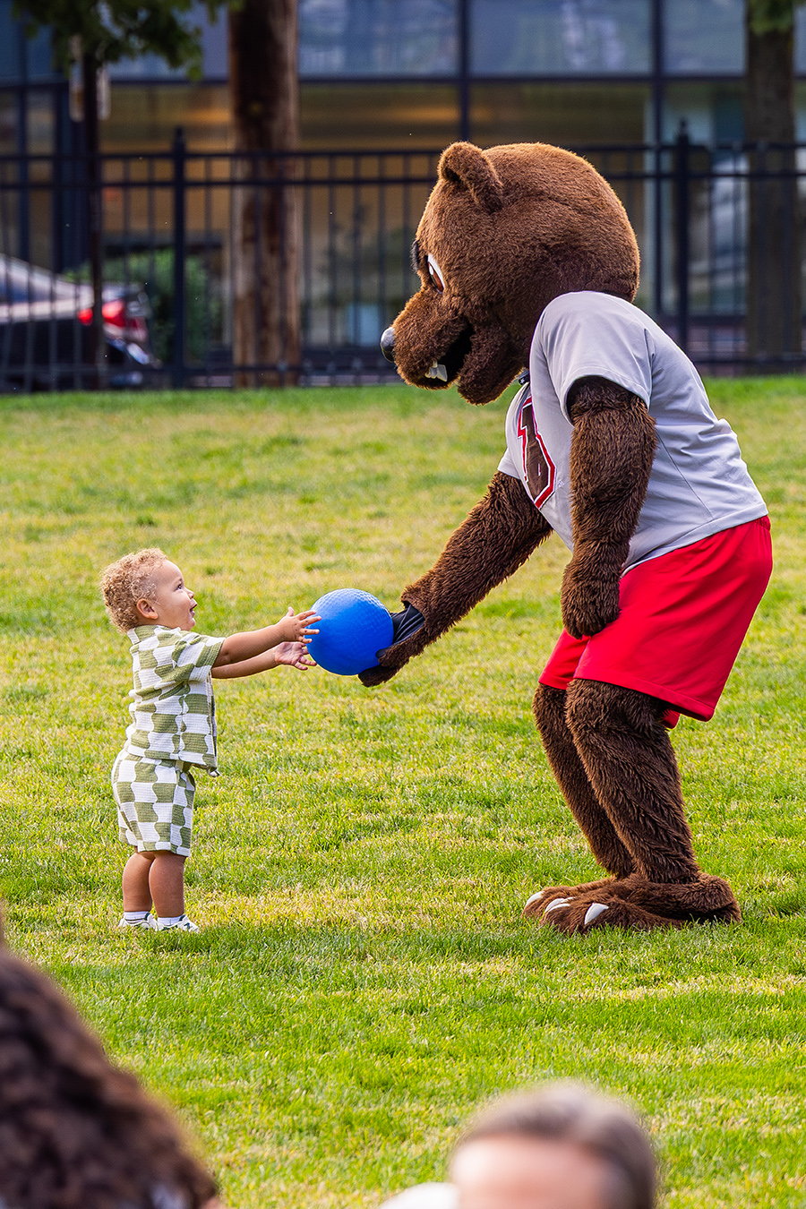 Bruno the bear mascot hands a ball to a toddler