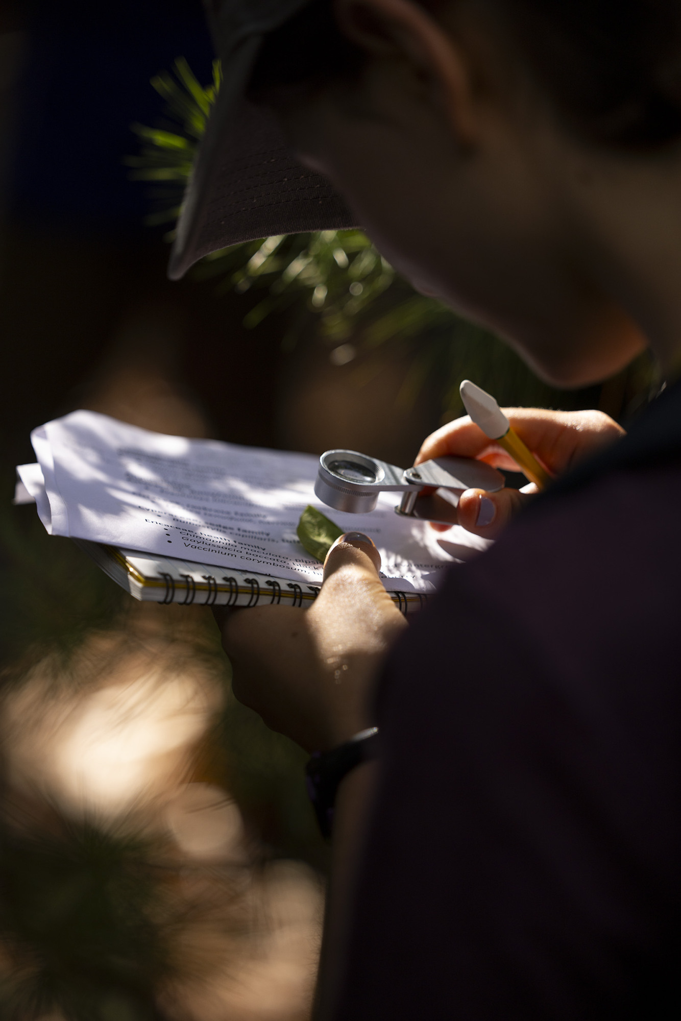 student observing plant