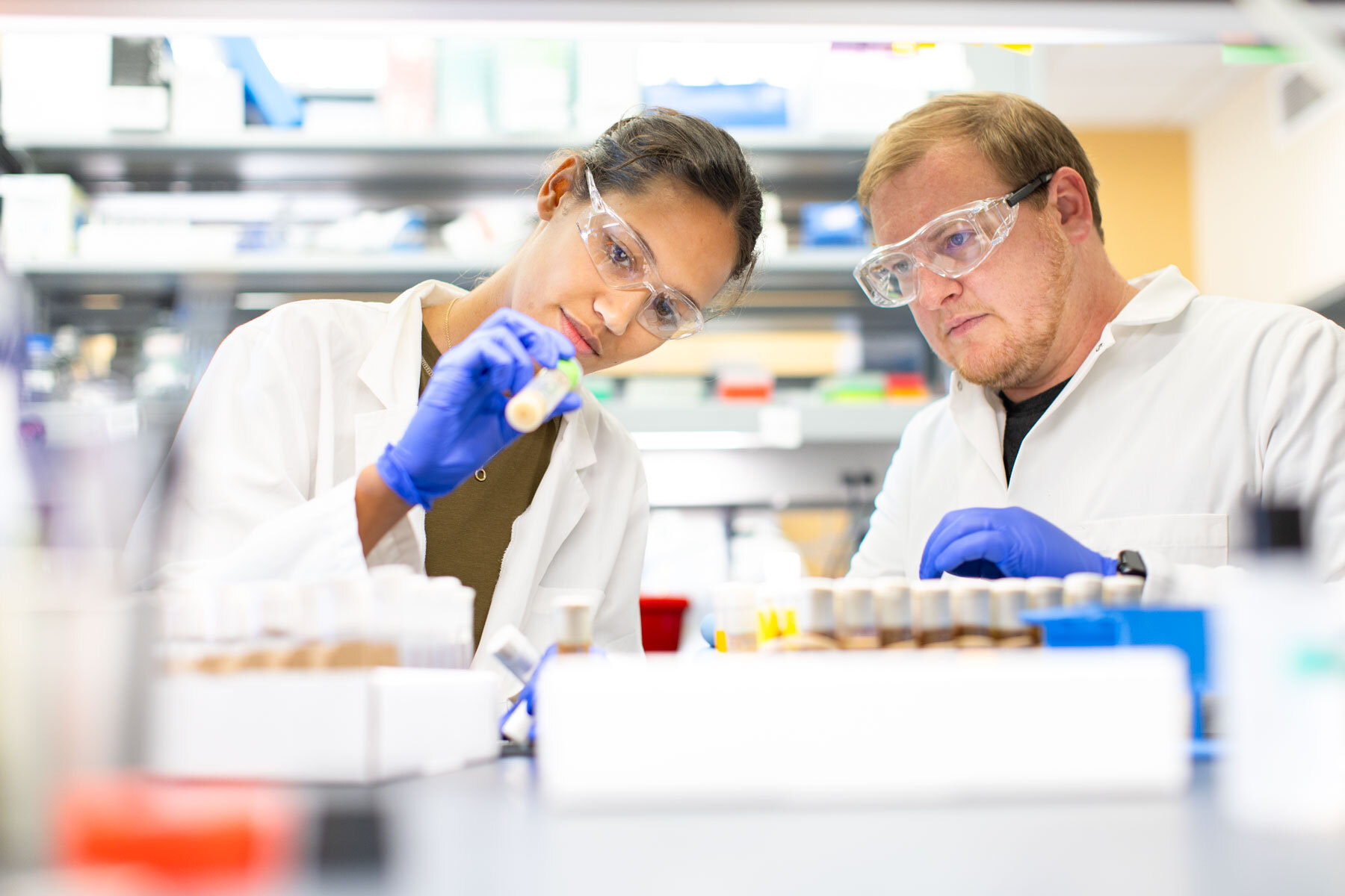 Students collaborating in a lab