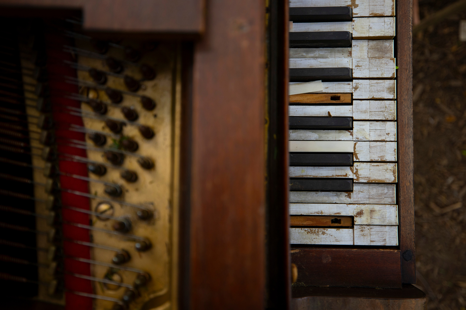 detail shot of piano keys in disrepair