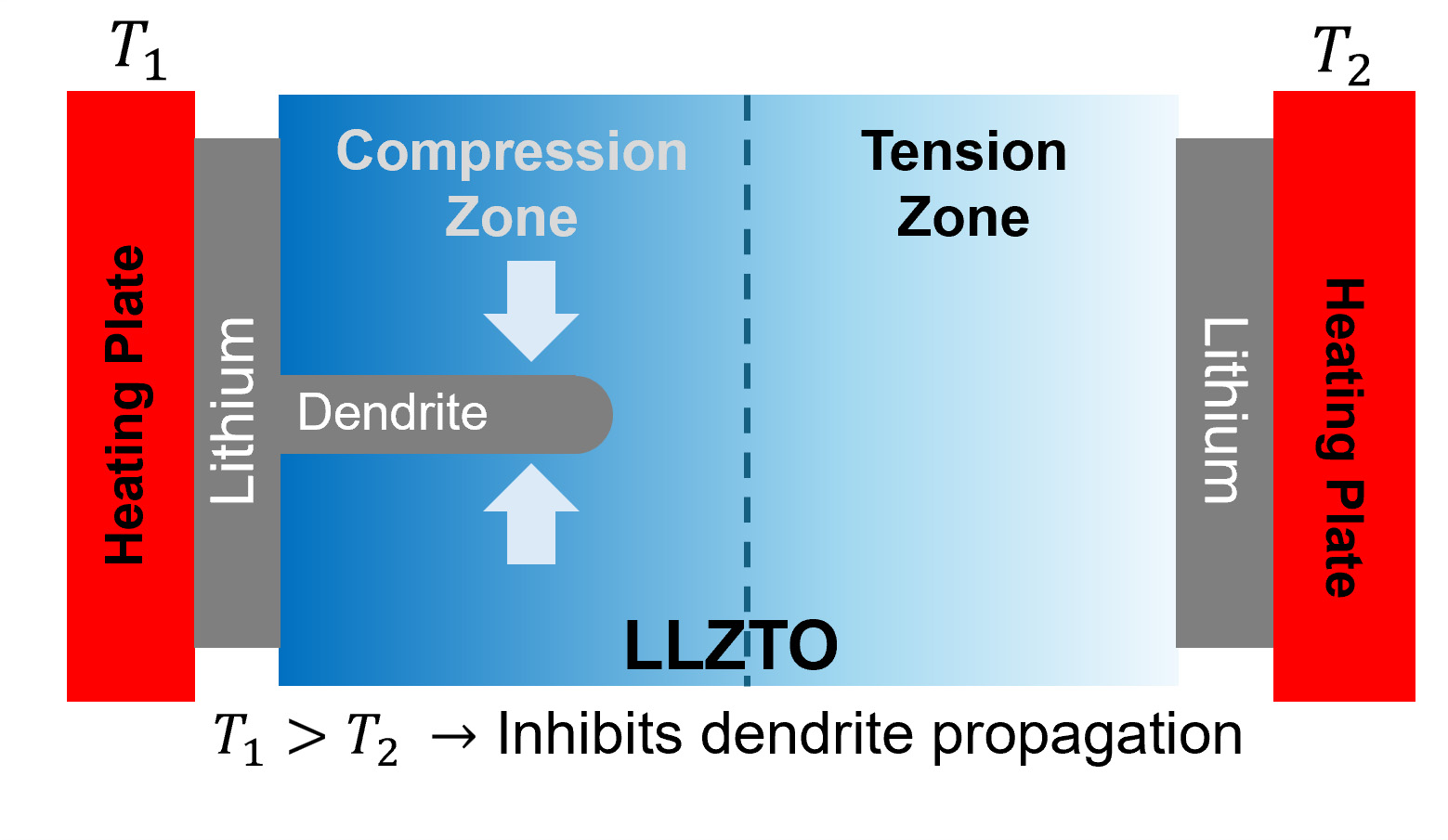 次世代固体電池のデンドライト問題を克服（New Strategy Addresses Persistent Problem in Next-Generation Solid-State Batteries）