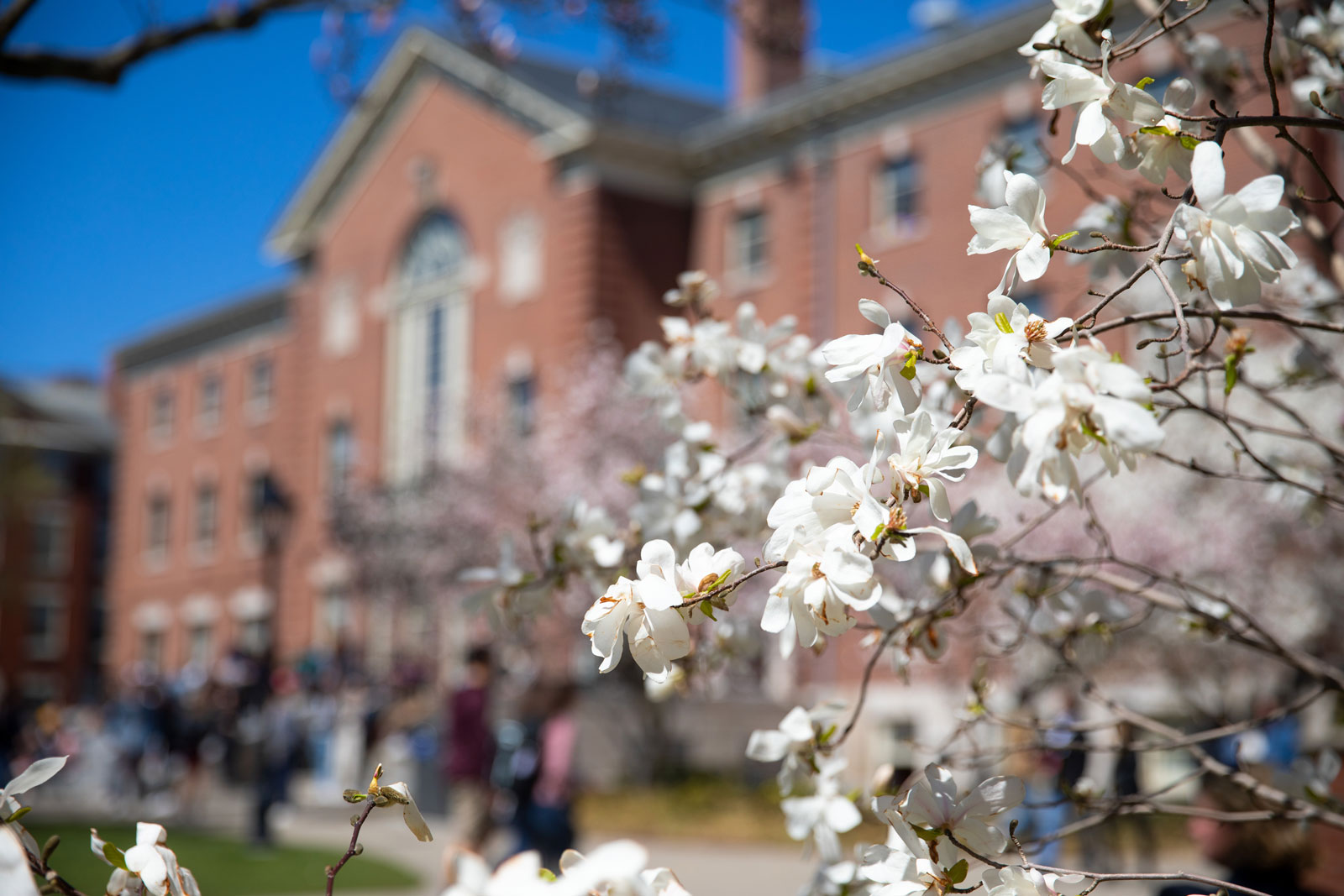 Spring on Campus