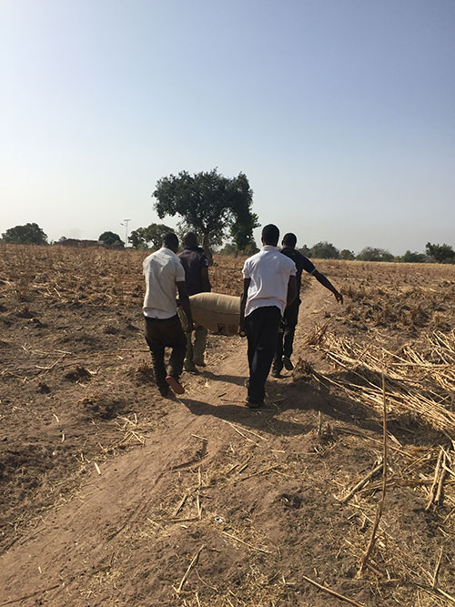 Men carrying bags of corn