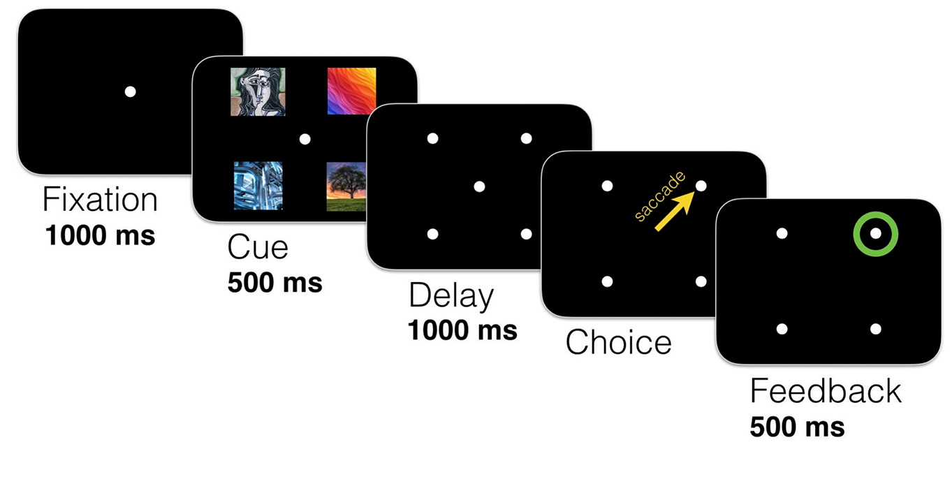 Sequence of screens