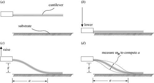 Illustration of adheasion in micro-materials