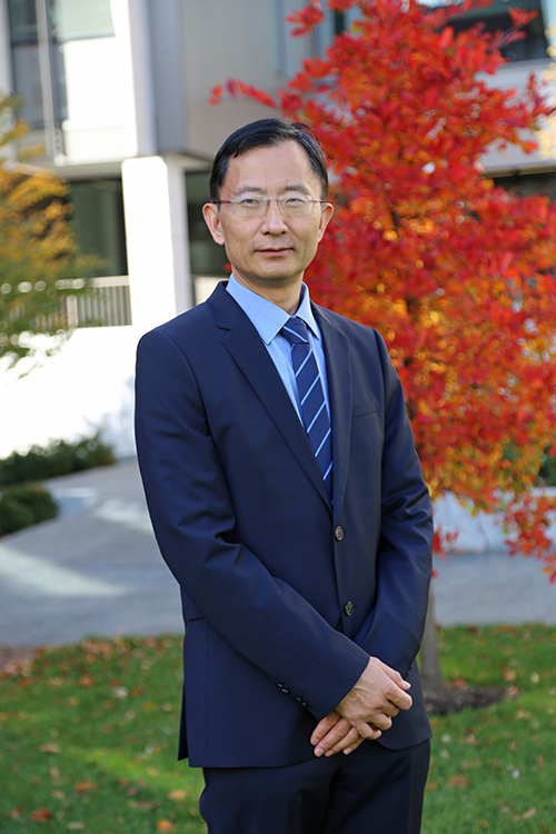 Professor Huajian Gao