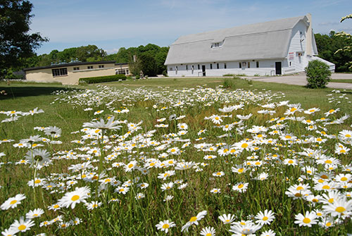 The Haffenreffer Museum's facilities in Bristol 