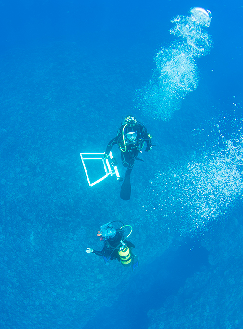 Witman and Wieters scuba diving