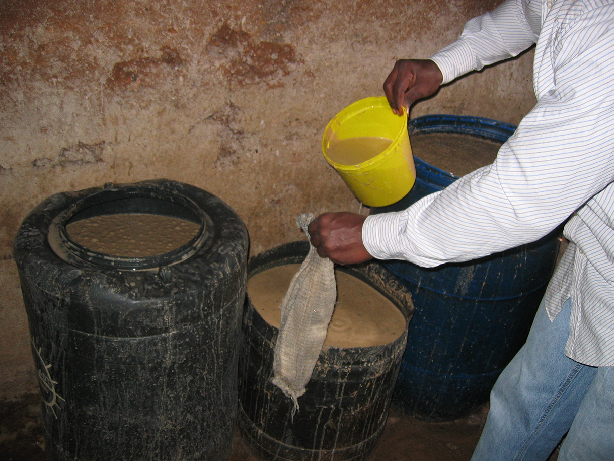 Kenyan man making beer from maize