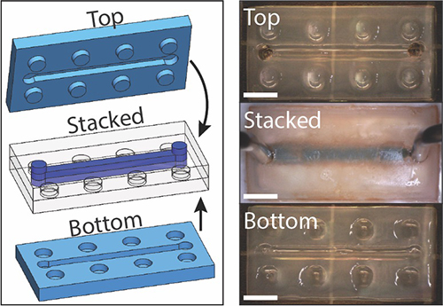 Diagram of stacked hydrogels looking like legos