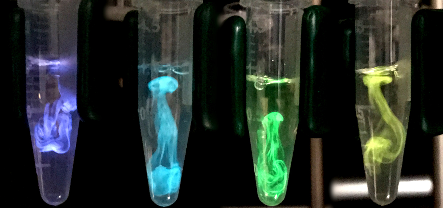 Colorful test tubes