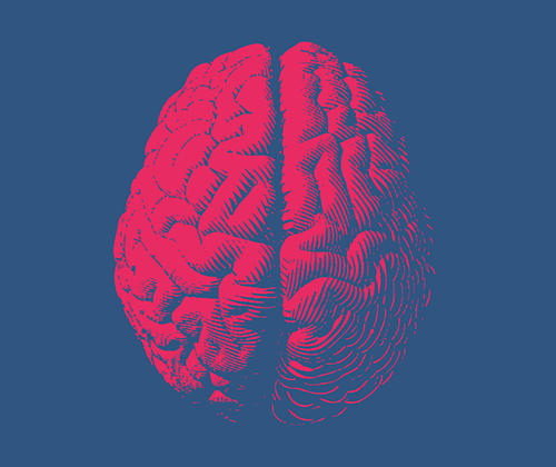 Stylized image of top view of the brain