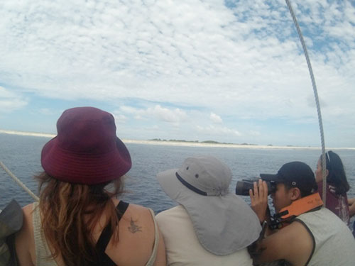 Looking at an island from a boat